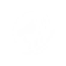 Digital Marketing icon