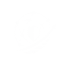IT Consultancy icon