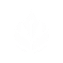 Logo Design icon